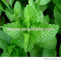 Menthae Extract menthol crystal